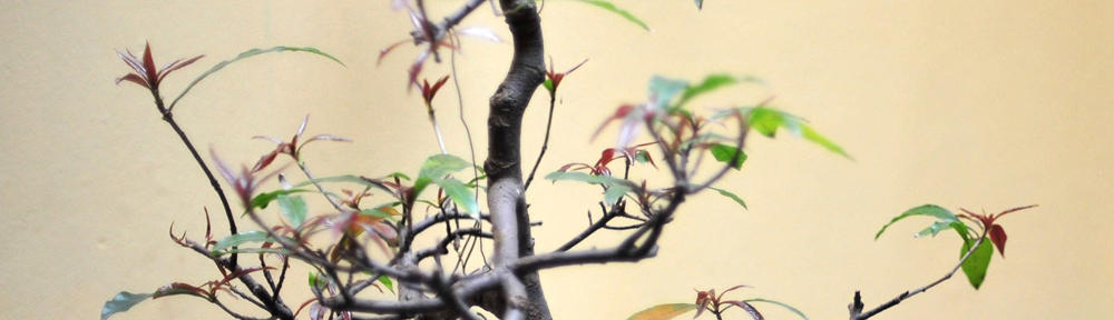 Le blog perso de Gwen